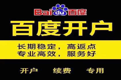 竞价排名在搜索引擎营销中的运用案例
